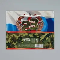 Пакет подарочный ламинированный, упаковка, «С 23 февраля», S 15 х 12 х 5.5 см