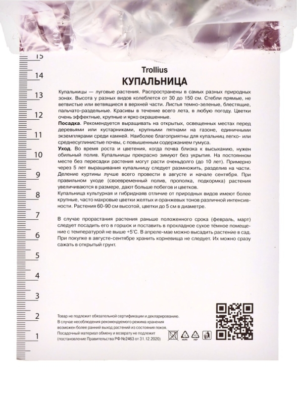 Купальница китайская, р-р I, 1 шт, Весна 2025