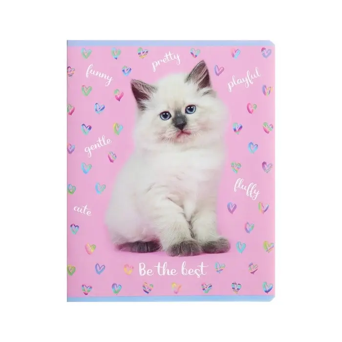 Тетрадь 48 листов в линию &laquo;Девочки&raquo;, обложка мелованный картон, блок офсет, МИКС