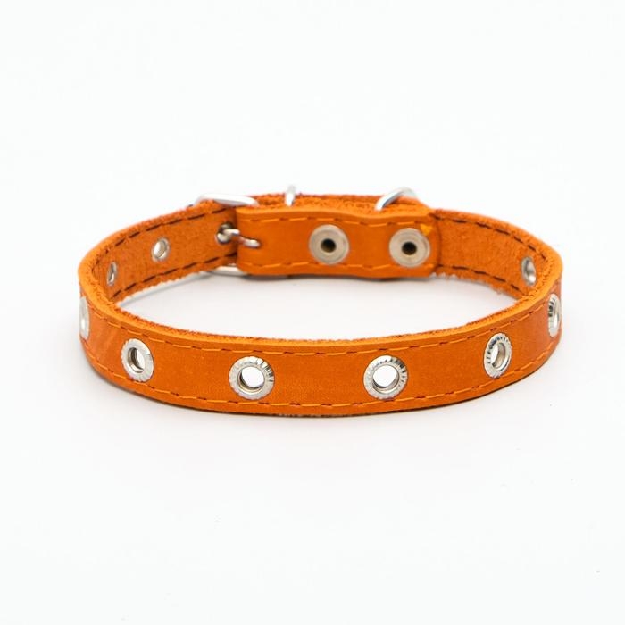 Ошейник кожаный однослойный с рифленными люверсами, безразмерный, 40 х 1,5 см, ОШ 27-35 см, рыжий 70 Ошейник кожаный однослойный с рифленными люверсами, безразмерный, 40 х 1,5 см, ОШ 27-35 см, рыжий 70