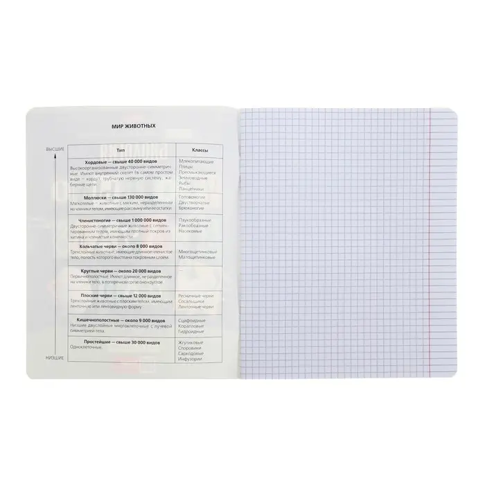 Тетрадь предметная "Следствие ведут ученики", 48 листов в клетку "Биология", обложка мелованный картон, выборочный лак, со справочным материалом