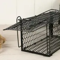 Крысоловка, 24&times;12&times;12 см, металлическая, Greengo