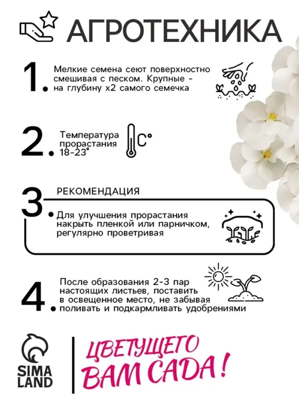 Семена Виола "Белый бархат", ц/п,  F1, 5 шт.