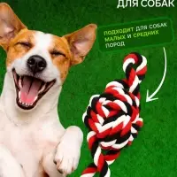 Игрушка для собак канатная &laquo;Мяч с ручками&raquo;, мяч 22 см, до 130 г