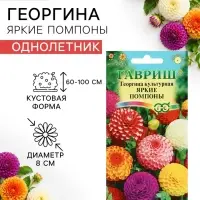 Семена цветов Георгина &laquo;Яркие помпоны&raquo;, 0.2 г, &laquo;Гавриш&raquo;