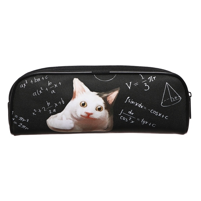 Пенал мягкий, 1 отделение, 80 х 210 х 40 мм, объёмный, Calligrata ПМО 21-20, Пенал мягкий, 1 отделение, 80 х 210 х 40 мм, объёмный, Calligrata ПМО 21-20, "Умный кот"