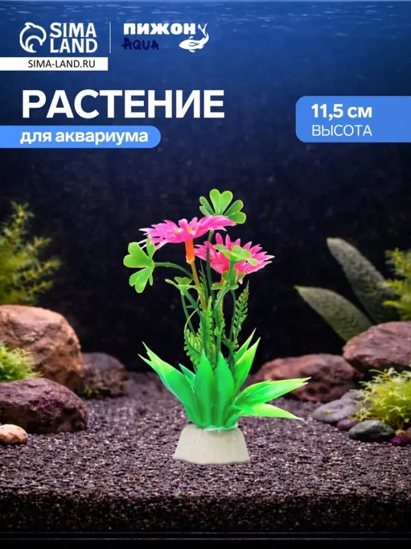 Растение для аквариума и террариума, 11.5 см