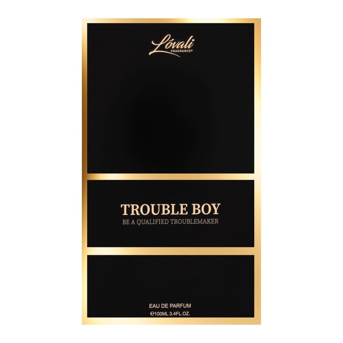 Туалетная вода мужская TROUBLE BOY (по мотивам Carolina Herrera Bad Boy), 100 мл Туалетная вода мужская TROUBLE BOY (по мотивам Carolina Herrera Bad Boy), 100 мл