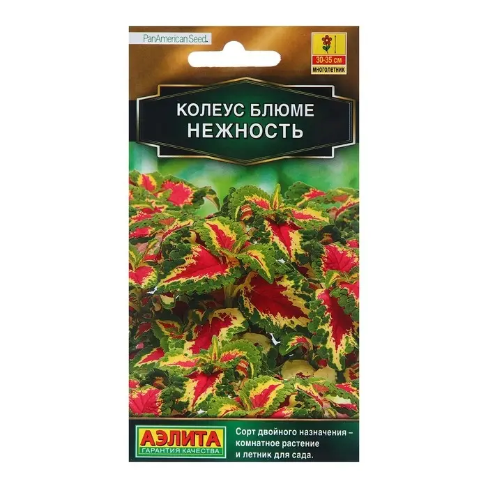 Семена Колеус блюме Нежность   Мн Золотая серия Ц/П 5 шт Семена Колеус блюме Нежность   Мн Золотая серия Ц/П 5 шт