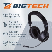 Гарнитура BigTech  HWH002 проводные с микрофоном USB 2.0/регулятор/2м
