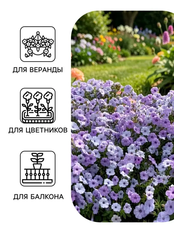 Семена цветов Петуния &laquo;Тайдал Вейв Сильвер&raquo; F1, 5 шт., &laquo;Агросидстрейд&raquo;
