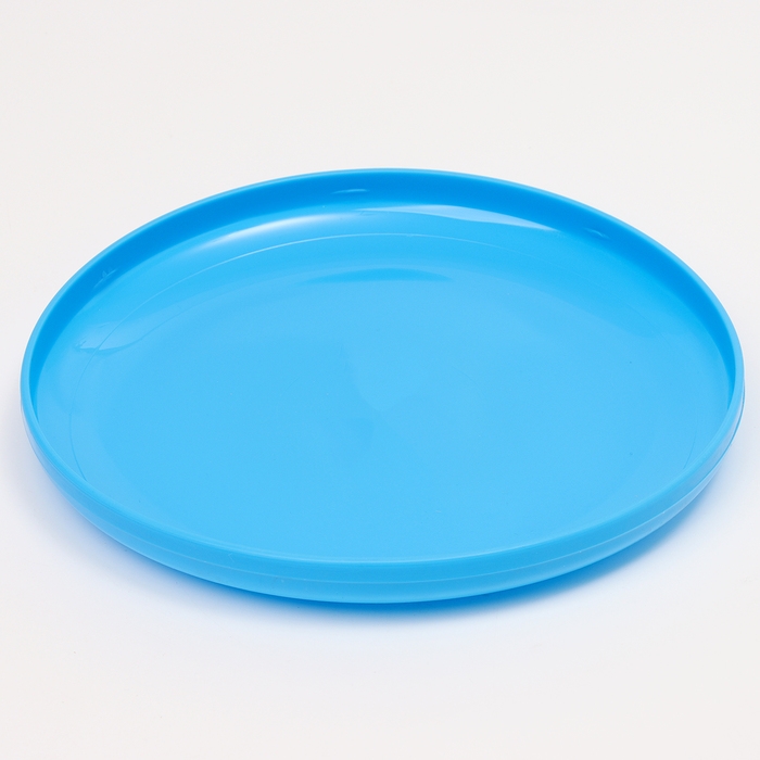 Летающая тарелка «Фрисби», 23 см, голубой Летающая тарелка «Фрисби», 23 см, голубой