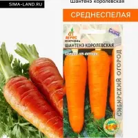 Семена Морковь &laquo;Шантенэ Королевская&raquo;, 2 г, &laquo;Агросс&raquo;