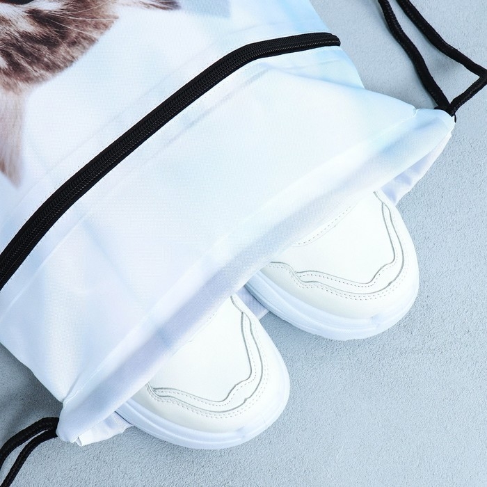 Мешок для обуви «Милый котик» 2 секции, 30×40 см Мешок для обуви «Милый котик» 2 секции, 30×40 см