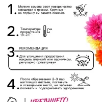 Семена цветов Георгин "Махровая смесь", 0,3 г Семена цветов Георгин "Махровая смесь", 0,3 г