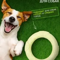 Жевательная игрушка для собак &laquo;Волна&raquo;, 7&times;1 с, TPR, зелёная