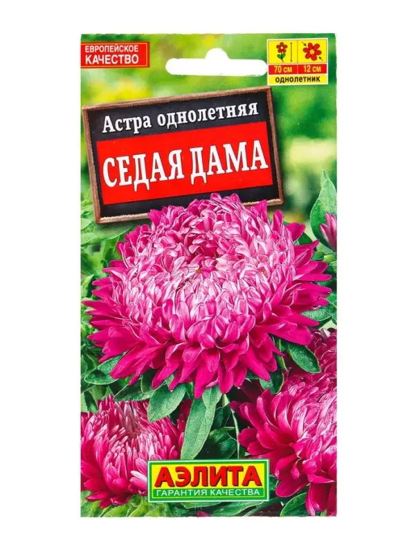 Семена цветов Астра Седая дама , Ц/П,0,2 г Семена цветов Астра Седая дама , Ц/П,0,2 г