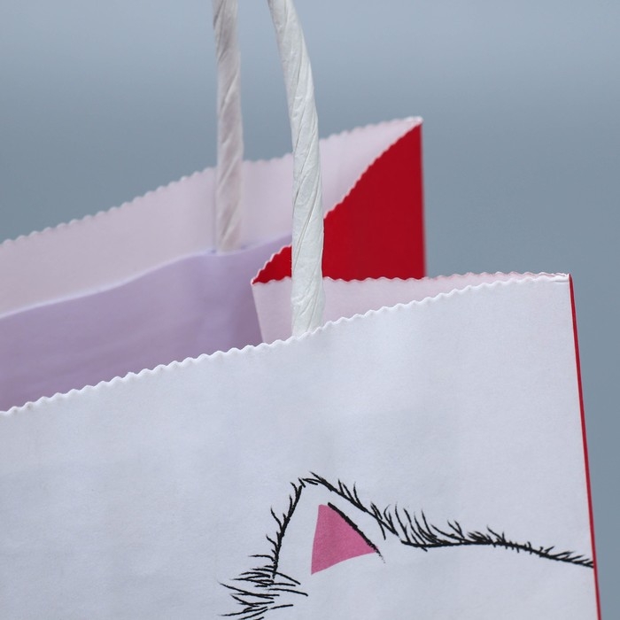 Пакет подарочный крафтовый, упаковка, «Мягкая моя», 12 х 21 х 9 см Пакет подарочный крафтовый, упаковка, «Мягкая моя», 12 х 21 х 9 см