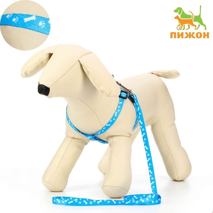 Комплект Комплект "Классика", капрон, поводок 120 х 1 см, ОГ 21-35 см, голубой