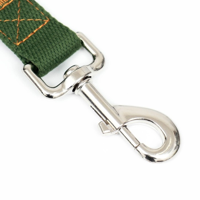 Поводок брезентовый, 10 м х 2,5 см, хаки Поводок брезентовый, 10 м х 2,5 см, хаки