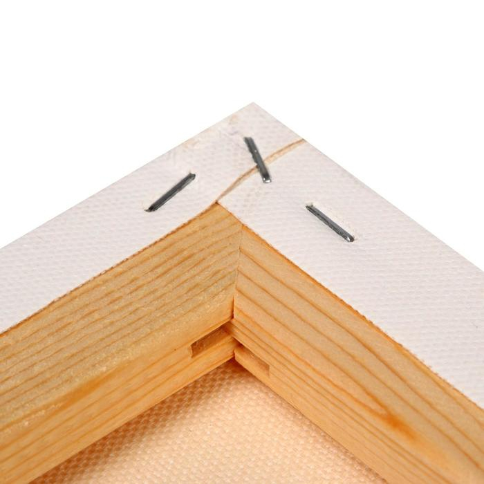 Холст на подрамнике, хлопок 100%, акриловый грунт, 2 х 40 х 50 см, 400 г/м2, крупное зерно, Гамма Холст на подрамнике, хлопок 100%, акриловый грунт, 2 х 40 х 50 см, 400 г/м2, крупное зерно, Гамма "Студия"