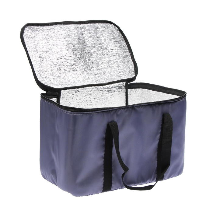 Термосумка Cartage Т-11, серая, 18 л, 35х21х24 см Термосумка Cartage Т-11, серая, 18 л, 35х21х24 см