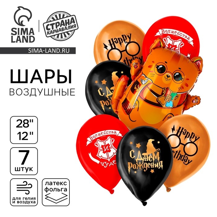 Набор воздушных шаров Набор воздушных шаров "С днём рождения. Котик-волшебник", фольга 1 шт., латекс 6 шт.