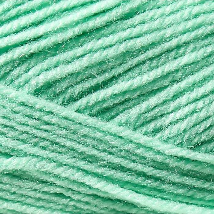 Пряжа Пряжа "Детская новинка" 100% акрил 200м/50гр (171-Весна)