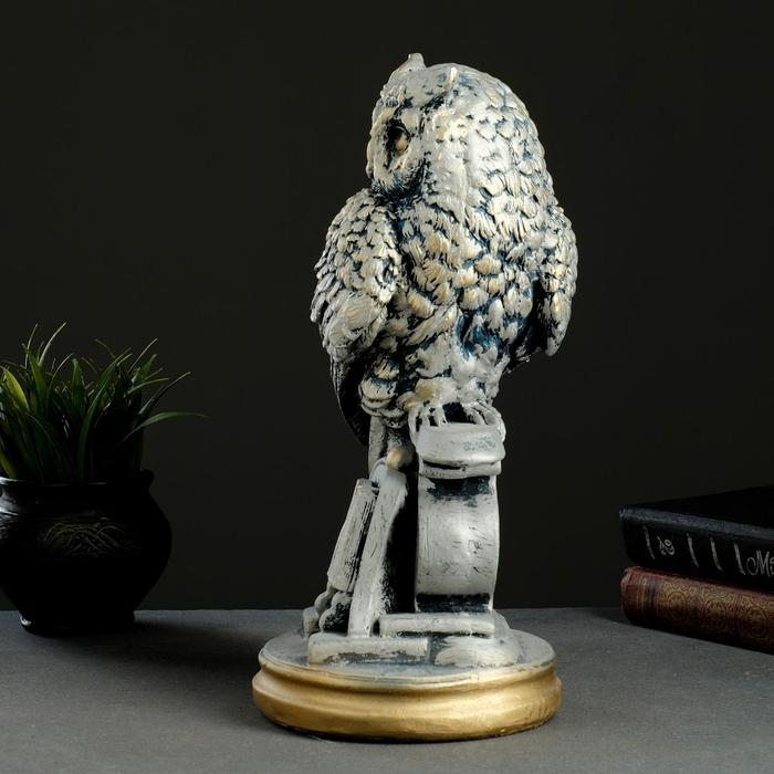 Копилка  Копилка "Сова с книгой" серебро, 21х17х35см