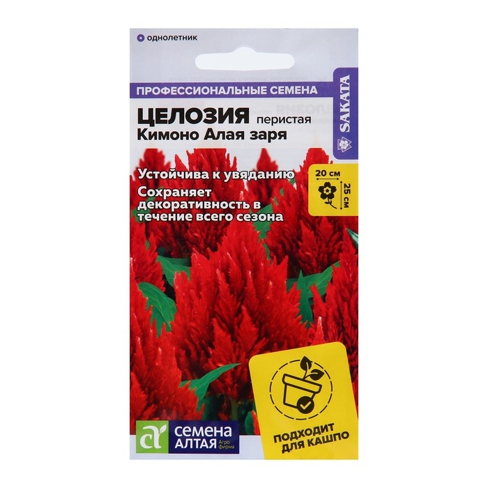 Семена цветов Целозия Кимоно  Семена цветов Целозия Кимоно "Алая заря", перистая, Сем. Алт, ц/п, 10 шт