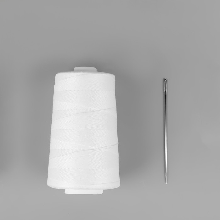 Набор для прошивания документов, 170ЛШ, 1000 м, с иглой 10 см Набор для прошивания документов, 170ЛШ, 1000 м, с иглой 10 см