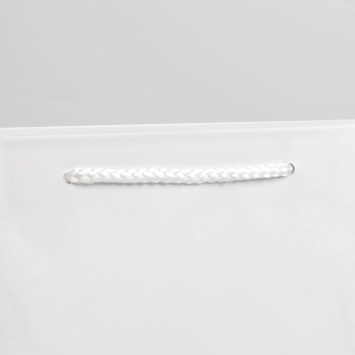 Пакет подарочный ламинированный, упаковка, «Белый», ML 21 х 25 х 8 см