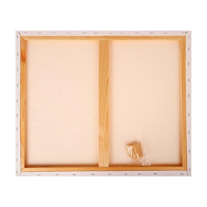 Холст на подрамнике, хлопок 100%, 50 х 60 х 1.8 см, акриловый грунт, мелкозернистый «Студия» Холст на подрамнике, хлопок 100%, 50 х 60 х 1.8 см, акриловый грунт, мелкозернистый «Студия»