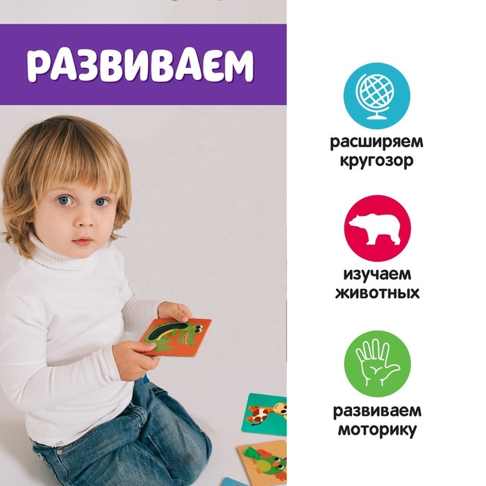 Развивающий набор «Животные Африки», тактильные карточки Развивающий набор «Животные Африки», тактильные карточки