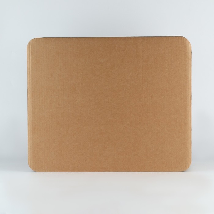 Когтеточка из картона с кошачьей мятой «Аквариум»