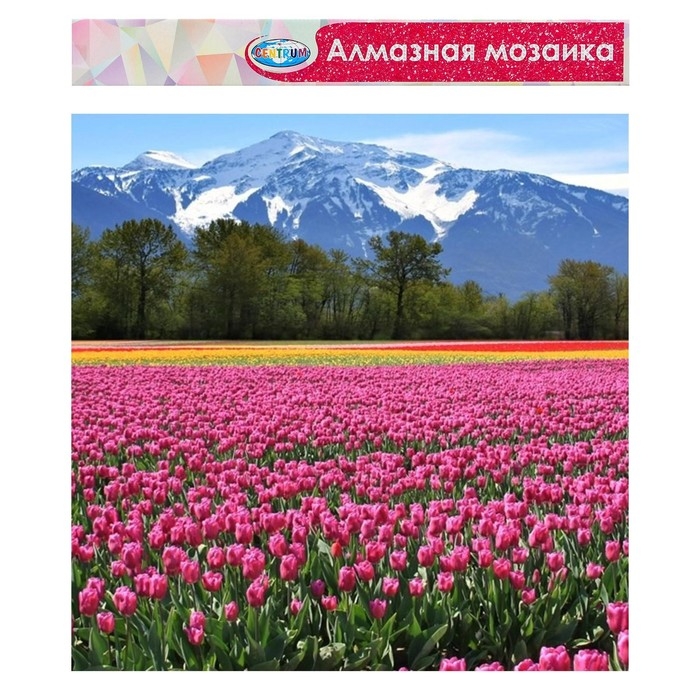 Алмазная мозаика «Горный пейзаж», 40 × 50 см, без подрамника, частичное заполнение Алмазная мозаика «Горный пейзаж», 40 × 50 см, без подрамника, частичное заполнение