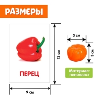 Обучающий набор по методике Г. Домана «Овощи»: 9 карточек + 9 овощей, счётный материал