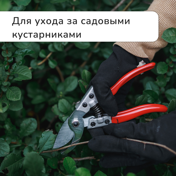 Секатор плоскостной, 8 Секатор плоскостной, 8" (20 см), обрезиненные ручки, Greengo