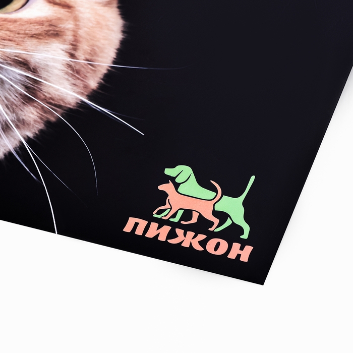 Коврик под миску  Коврик под миску "Пижон" 43 х 28 см "Еда-а-а!"