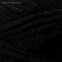 Пряжа "Softy Plus" 100% микрополиэстер 120м/100г  (60 чёрный)