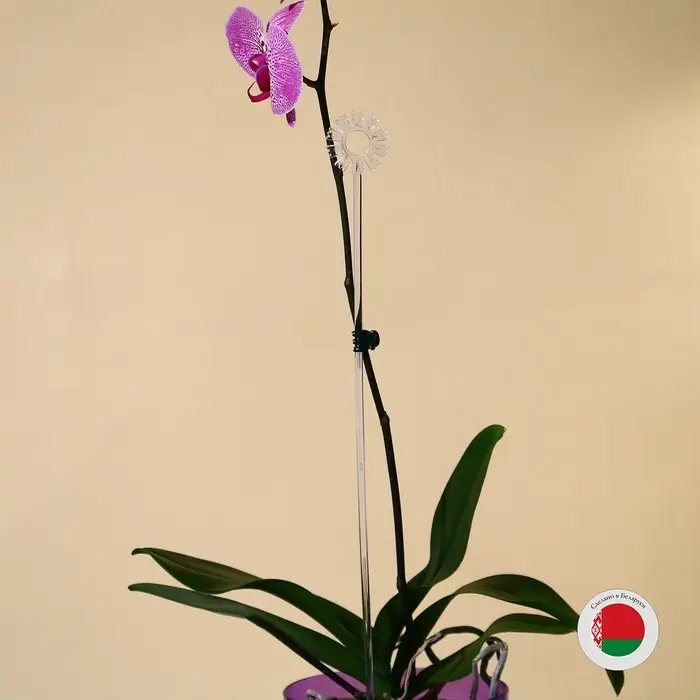 Опора для орхидей, h = 44 см, пластик, прозрачная, МИКС Опора для орхидей, h = 44 см, пластик, прозрачная, МИКС