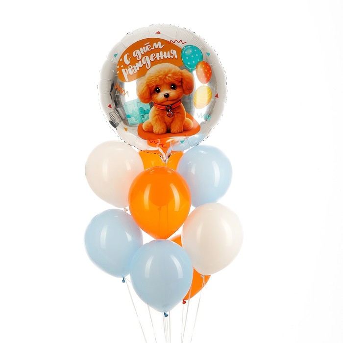 Набор воздушных шаров «Собачка», фольга, латекс, 9 шт. Набор воздушных шаров «Собачка», фольга, латекс, 9 шт.