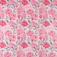 Бумага упаковочная глянцевая двухсторонняя «Самой прекрасной», 70 х 100 см Бумага упаковочная глянцевая двухсторонняя «Самой прекрасной», 70 х 100 см