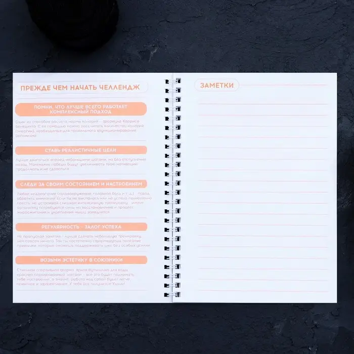 Дневник тренировок &laquo;Собственный челлендж&raquo; на пружине, 25 листов