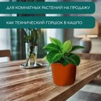 Горшок для рассады, 1.7 л, d=16 см, h=13.5 см, мягкий пластик, терракот, Greengo