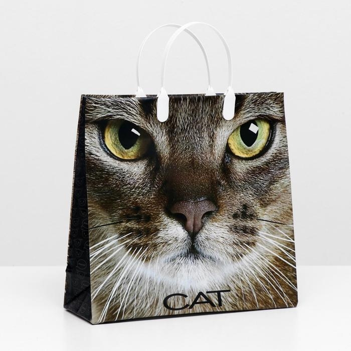 Пакет Пакет "Кэт", мягкий пластик, 30 х 30 см, 150 мкм