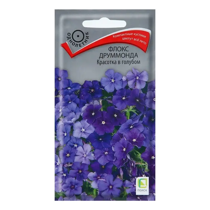 Семена цветов Флокс друммонда  Семена цветов Флокс друммонда "Красотка в голубом", О, 0,1 г.
