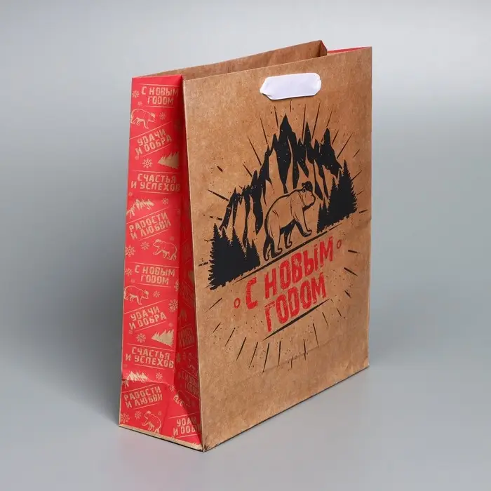 Пакет подарочный новогодний крафтовый «Суровая зима», M 26 х 30 х 9 см Пакет подарочный новогодний крафтовый «Суровая зима», M 26 х 30 х 9 см