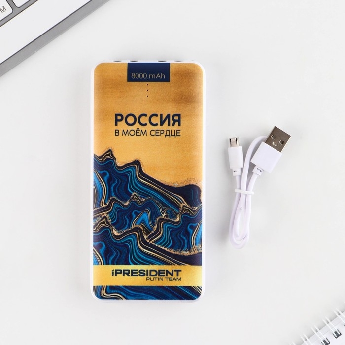 Зарядное устройство &laquo;Достояние&raquo;, 8000мА,модель PB-20, 14,5 х 6,9 см