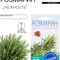 Семена Розмарин &laquo;Нежность&raquo;, 0.05 г, &laquo;Агроуспех&raquo;